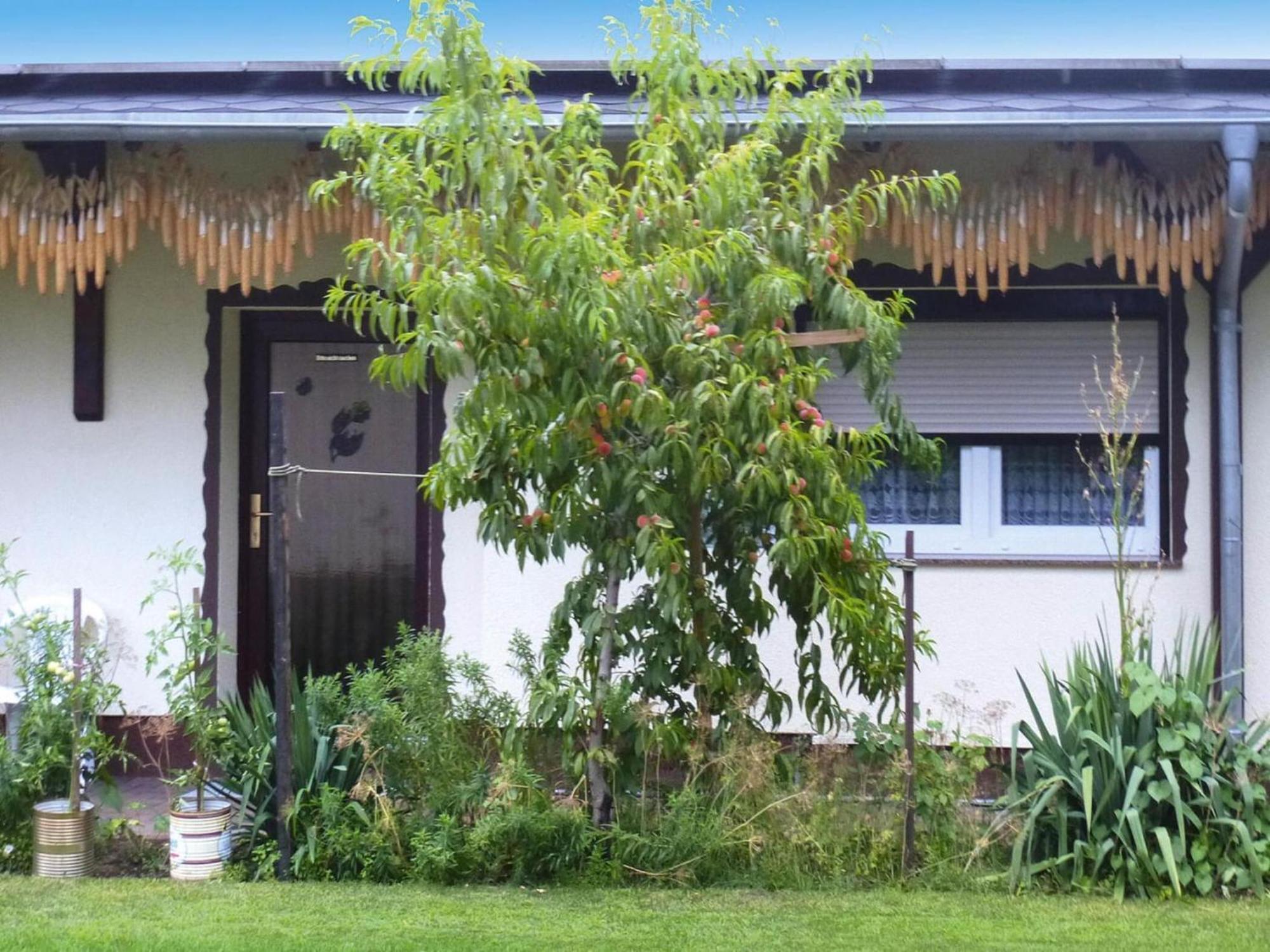 Bungalow In L Bben With A Terrace Lubben Exterior photo